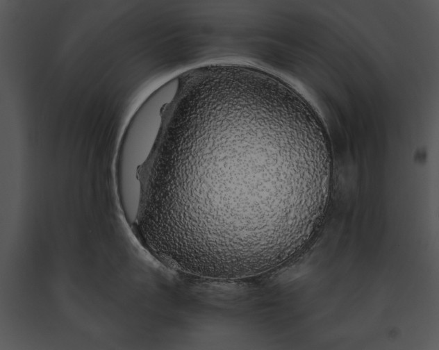 X0000091180959200708301214