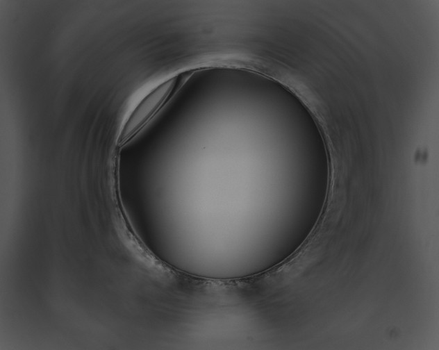 X0000091180960200708301214