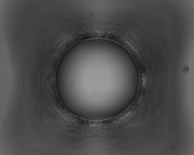 X0000091180961200708301213