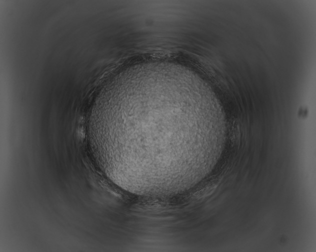 X0000091180962200708301213