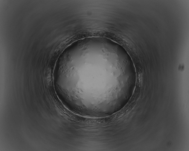 X0000091180963200708301213