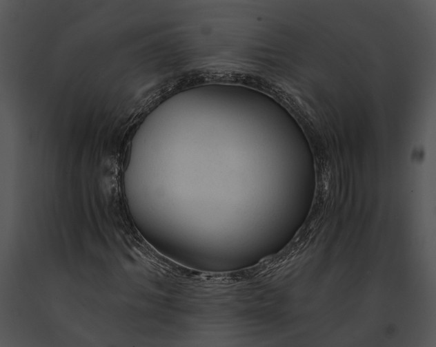 X0000091180964200708301213