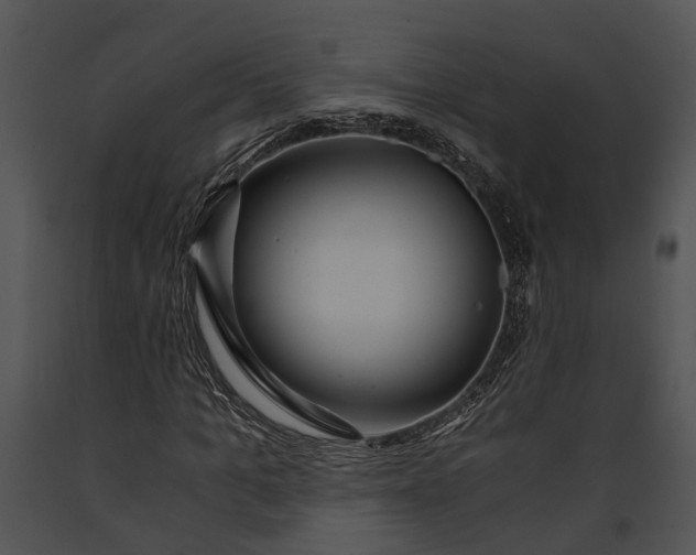 X0000091180965200708301213