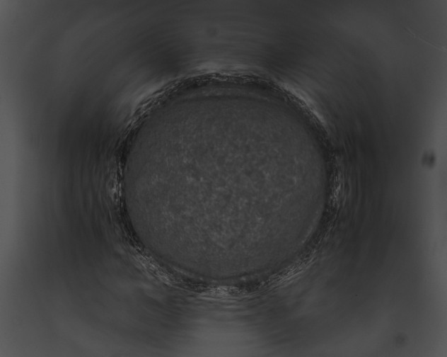 X0000091180966200708301213