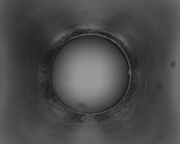 X0000091180967200708301213