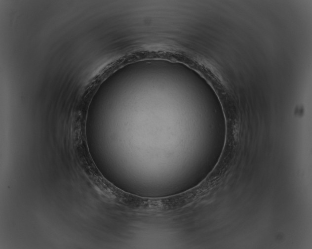 X0000091180968200708301213