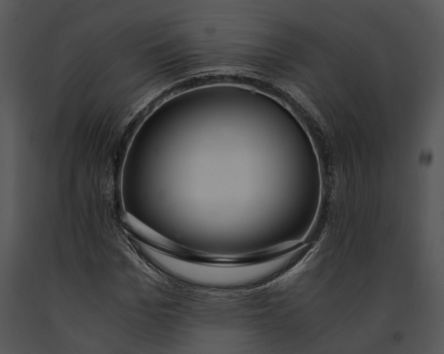 X0000091180969200708301213