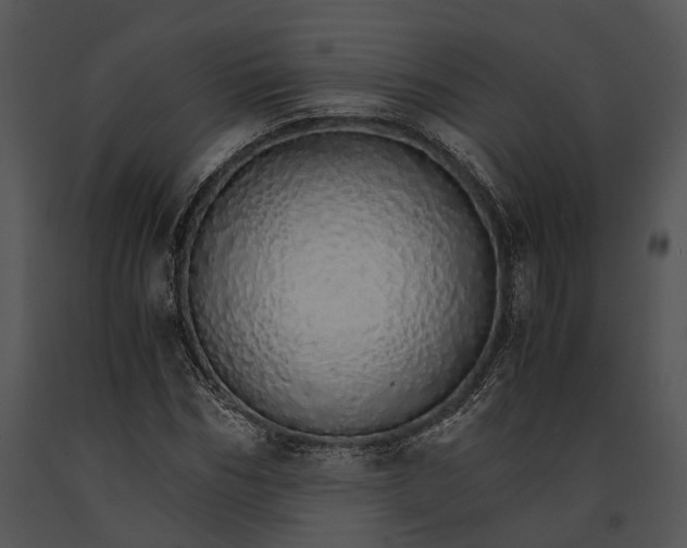 X0000091180970200708301213