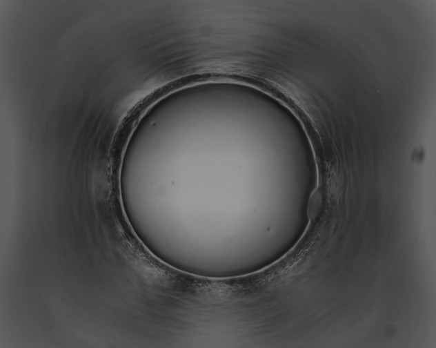 X0000091180971200708301213