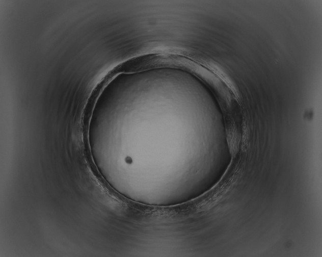 X0000091180972200708301213