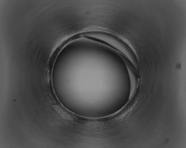 X0000091180973200708301213