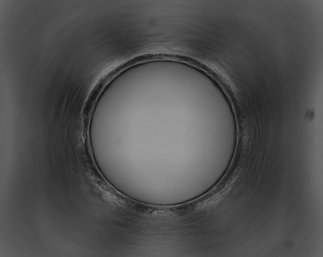 X0000091180974200708301213