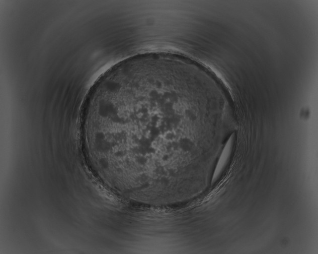 X0000091180975200708301213