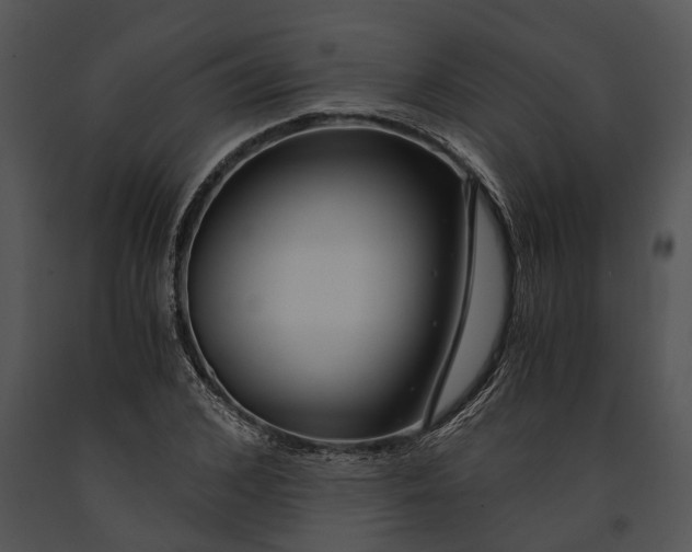 X0000091180976200708301213