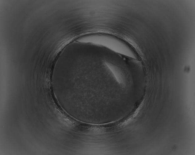 X0000091180977200708301213