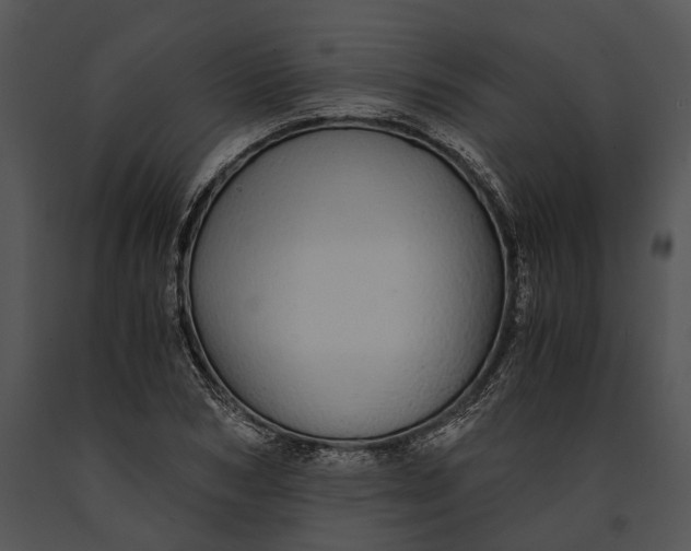 X0000091180978200708301213