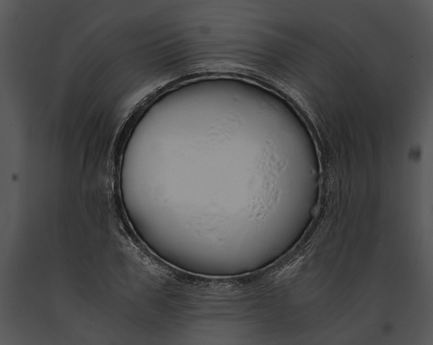 X0000091180979200708301213