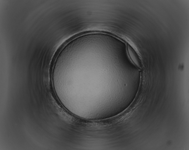 X0000091180980200708301213