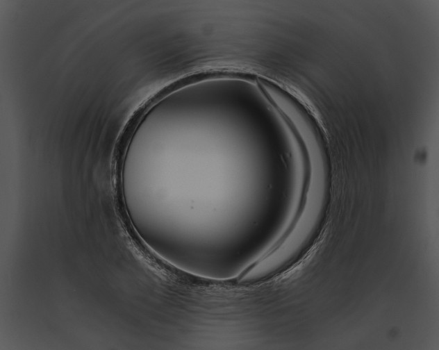 X0000091180981200708301213