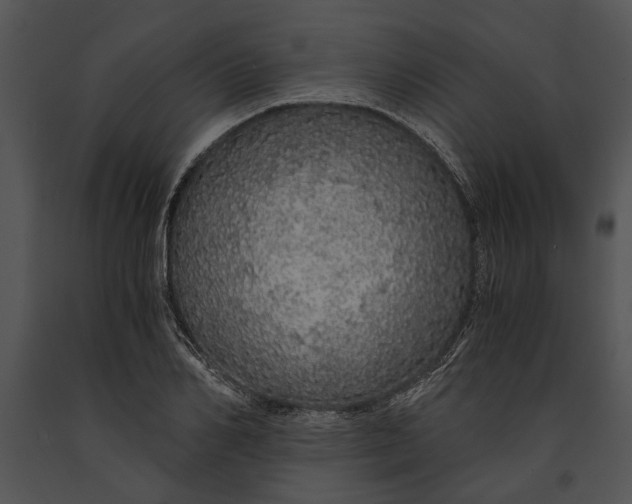 X0000091180982200708301213