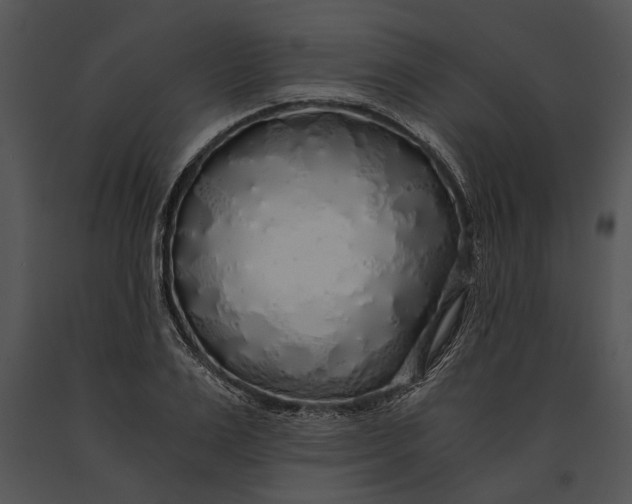 X0000091180983200708301213