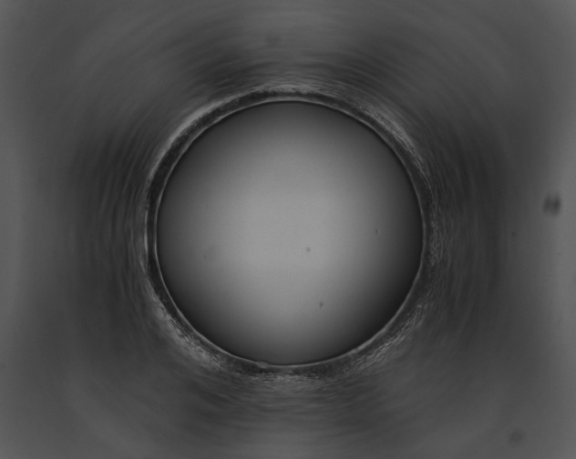 X0000091180984200708301213