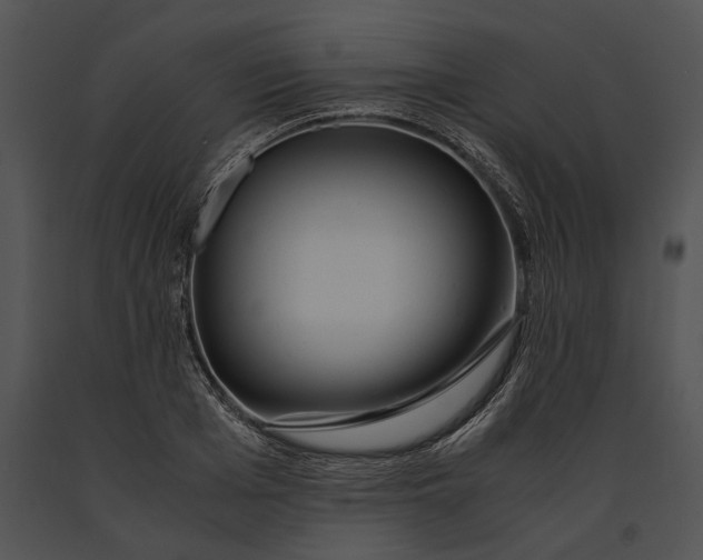 X0000091180985200708301213