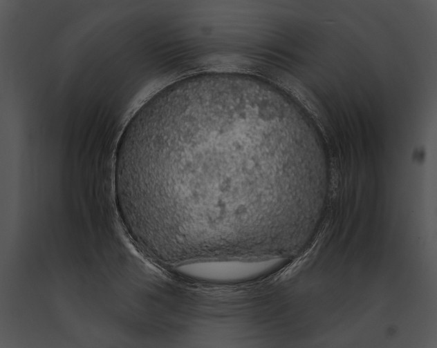 X0000091180986200708301213