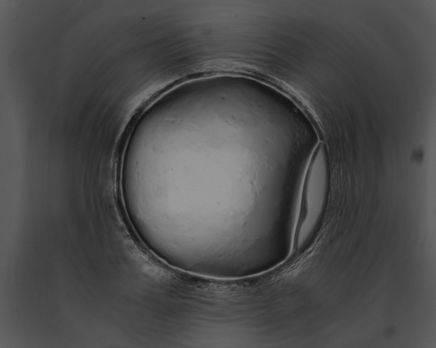 X0000091180987200708301213