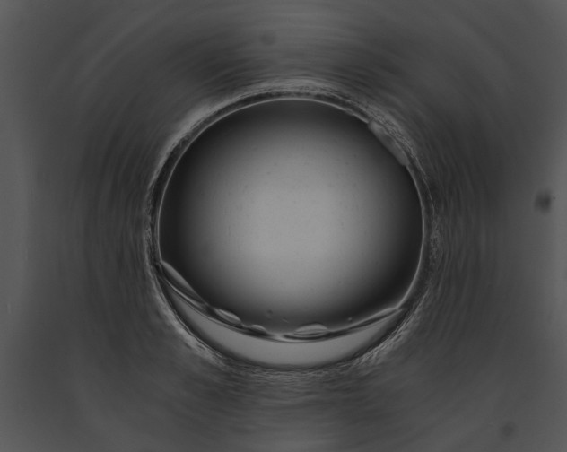 X0000091180989200708301213