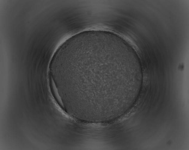 X0000091180990200708301213