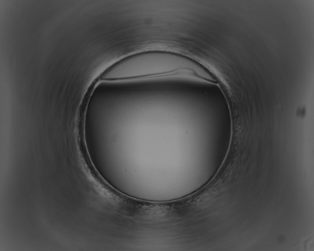 X0000091180991200708301213