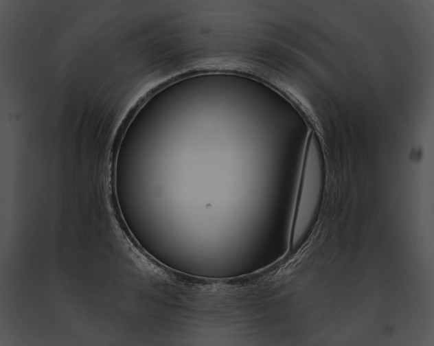 X0000091180992200708301213