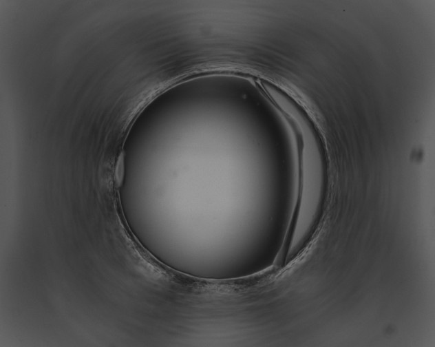 X0000091180993200708301213