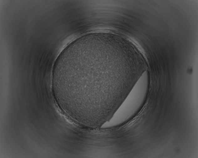 X0000091180994200708301213