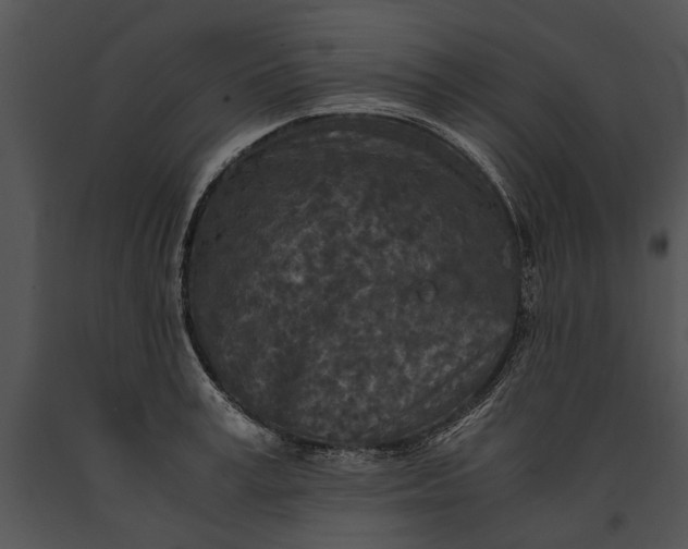 X0000091180995200708301213