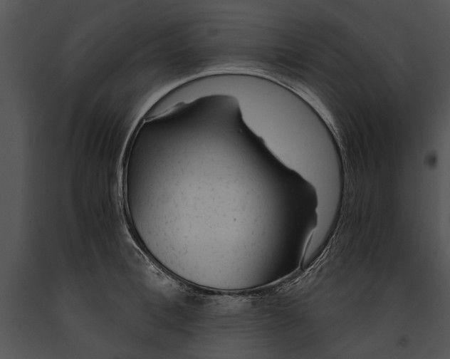 X0000091180996200708301213