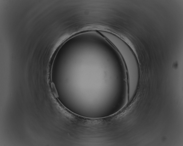 X0000091180997200708301213