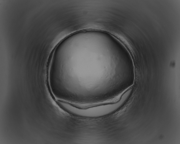 X0000091180999200708301213