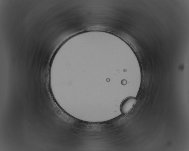 X0000091181000200708301213