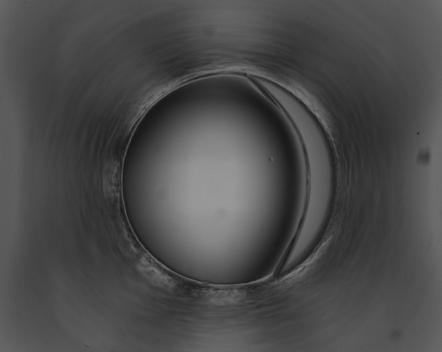 X0000091181001200708301213