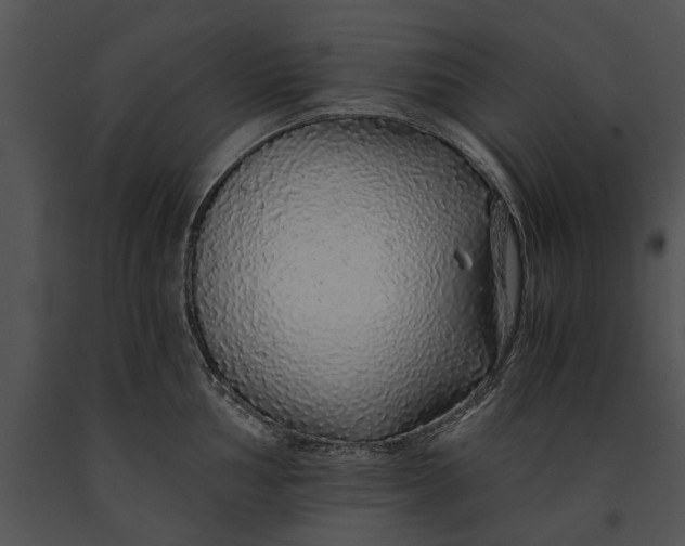 X0000091181002200708301213