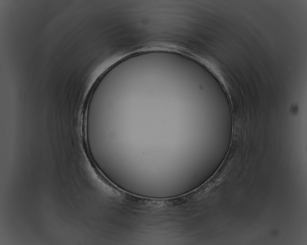 X0000091181003200708301213