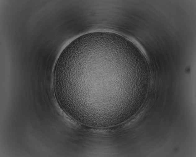 X0000091181004200708301213