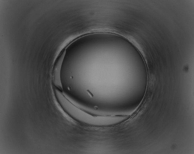 X0000091181005200708301213