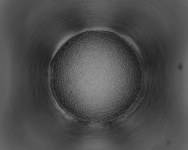 X0000091181006200708301213