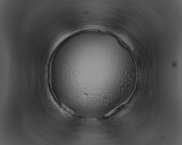 X0000091181007200708301213