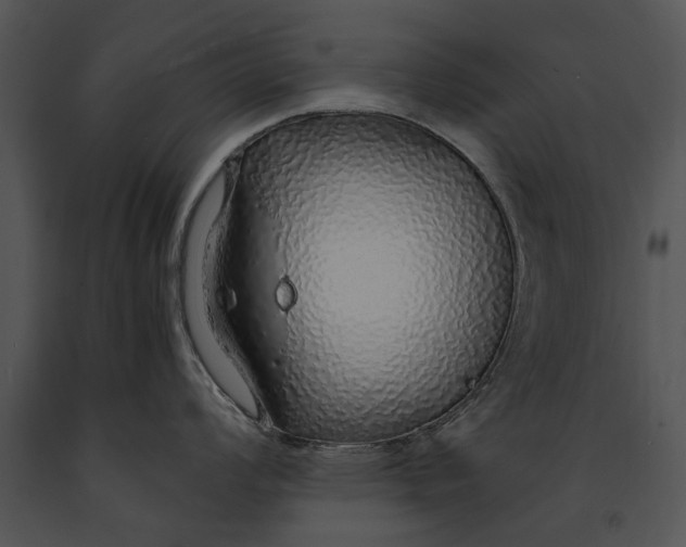 X0000091181008200708301213