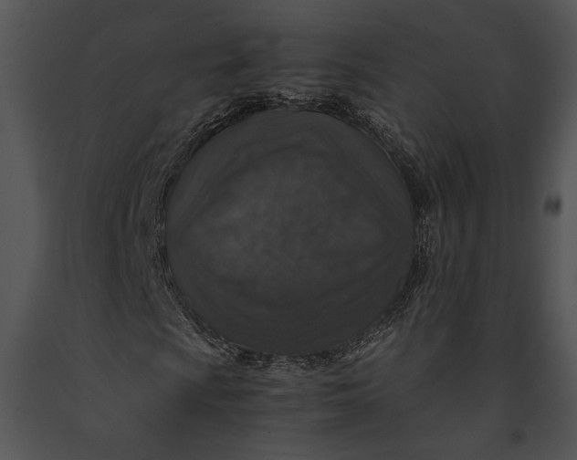 X0000091181009200708301212