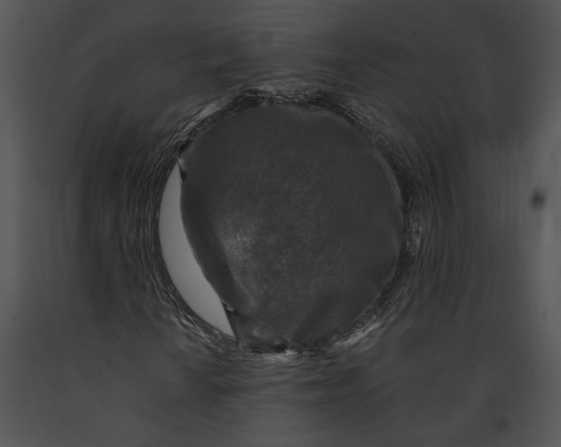 X0000091181010200708301212